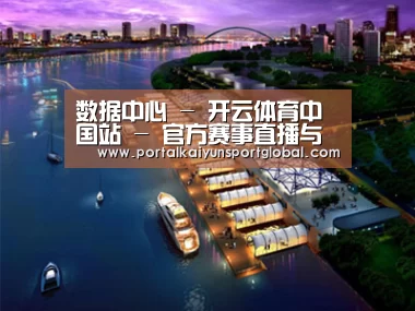 案例展示八(图1)
