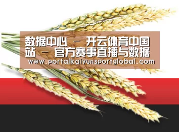 数据中心 - 开云体育中国站 - 官方赛事直播与数据中心