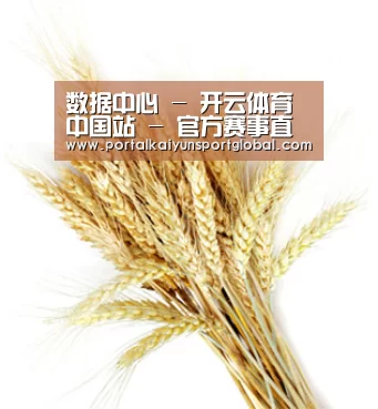 数据中心 - 开云体育中国站 - 官方赛事直播与数据中心