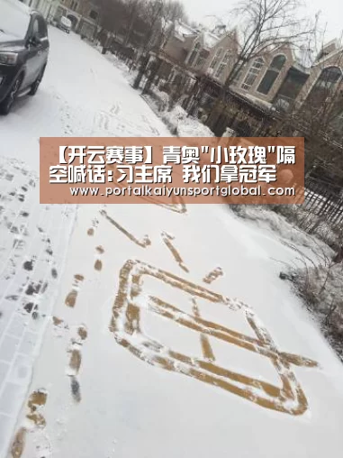 【开云赛事】青奥